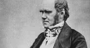 O naturalista Charles Darwin - Domínio Público via Wikimedia Commons