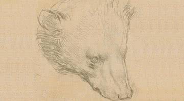 Desenho de da Vinci - Divulgação/Christie's