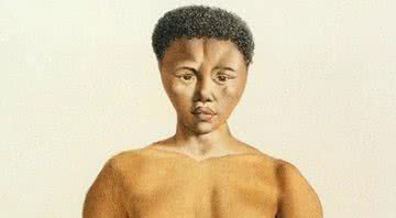 Ilustração de Sarah Baartman, a mulher que virou uma atração - Wikimedia Commons