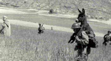 Imagem famosa de um soldado carregando um burro nas costas - Divulgação