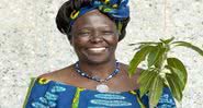 Wangari Maathai foi a primeira africana a ganhar um prêmio Nobel - Wikimedia Commons