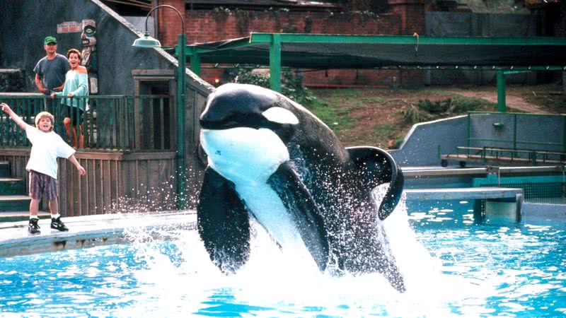 A orca Keiko, intérprete de Free Willy - Divulgação