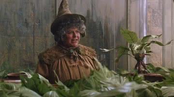 Miriam Margolyes, como professora Sprout, em Harry Potter e a Câmara Secreta - Reprodução/Vídeo/YouTube/Harry Potter