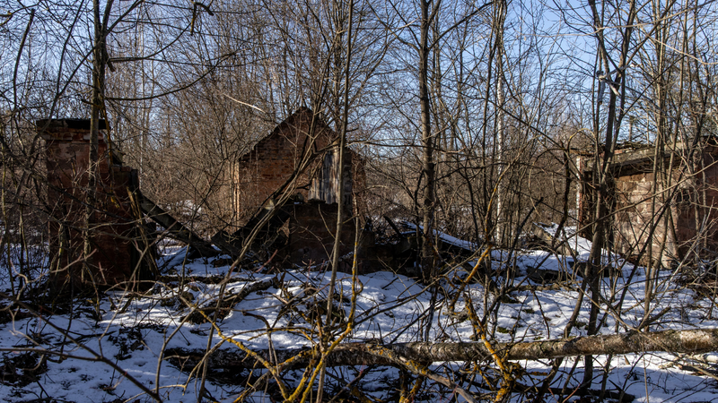 Seção abandonada do vilarejo que ficava em volta de Chernobyl - Getty Images