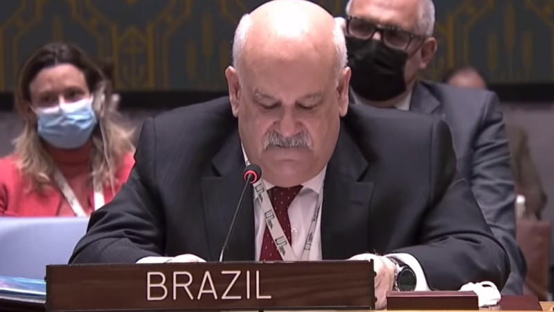 Ronaldo Costa Filho durante seu discurso sobre o conflito na ONU - Divulgação / Youtube