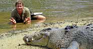 Steve Irwin em uma de suas aventuras - Divulgação