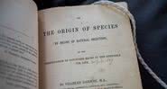 Livro de Charles Darwin que aborda a origem das espécies - Divulgação