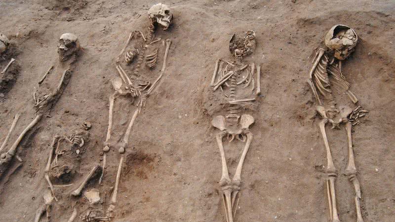 Sepultura de 48 pessoas mortas pela Peste Negra é encontrada - University of Sheffield