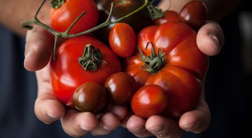 Ilustração de tomate - Getty Images