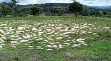 Imagem do campo que era usado para a atividade esportiva - Divulgação