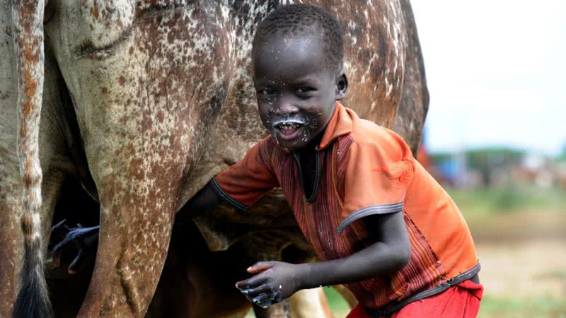 Menino tira leite de vaca em Uganda - U.S. Air Force Photo/Master Sgt Dawn Price