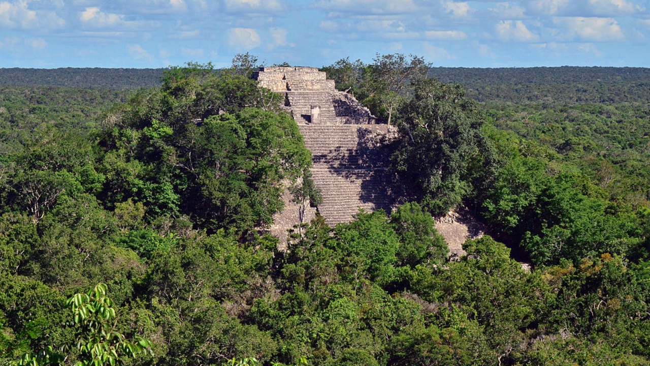 Calakmul 