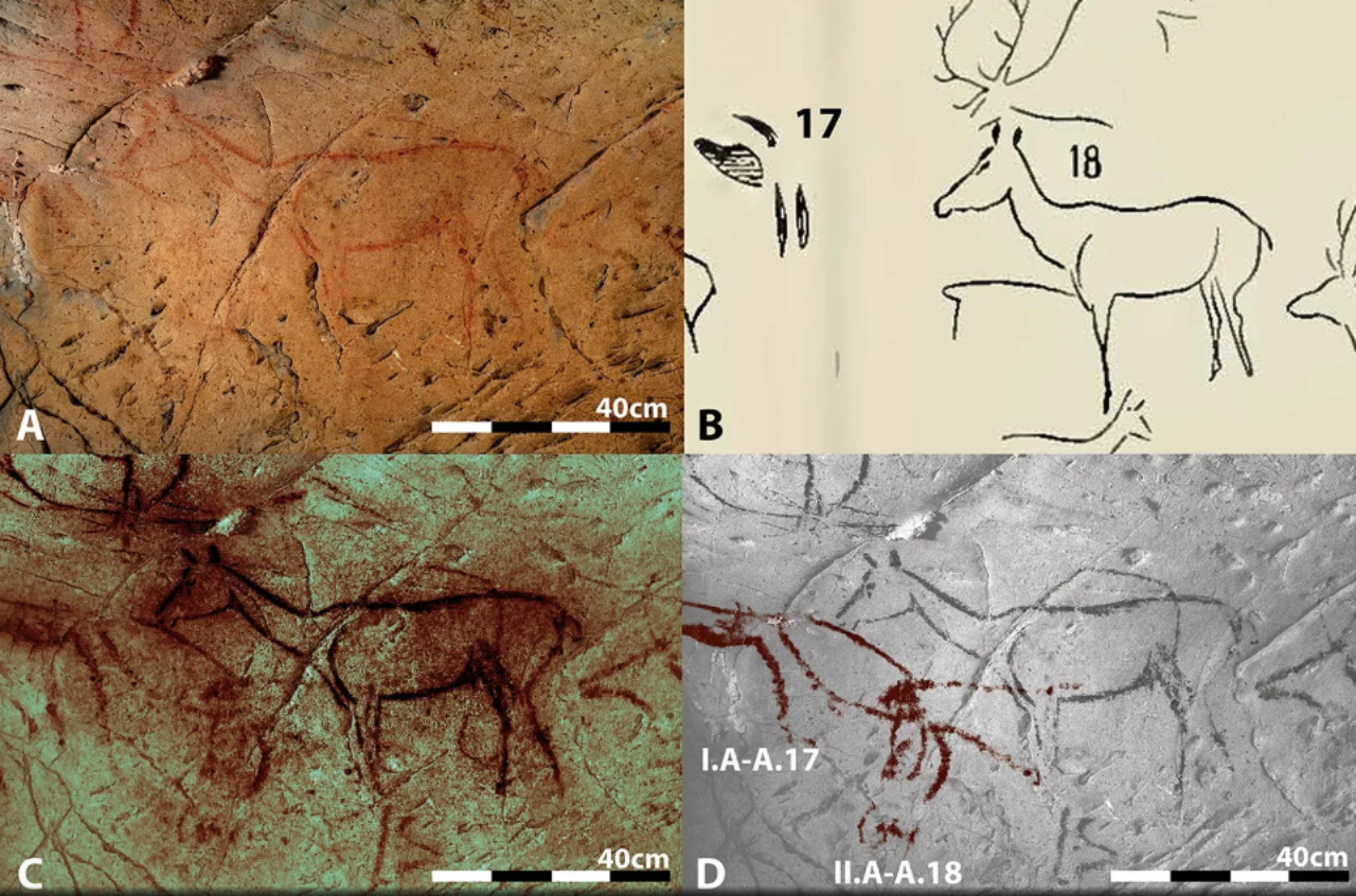 Imagens de pinturas rupestres de caverna espanhola sob ótica de novo estudo