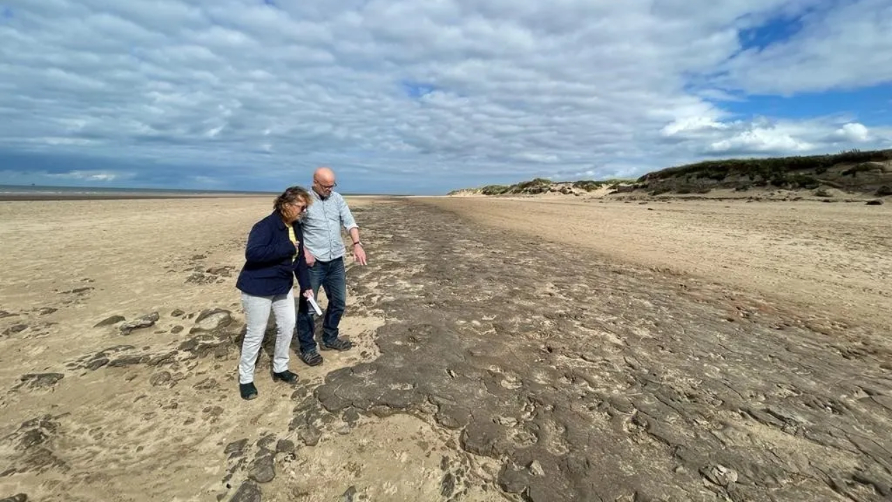 Pegadas descobertas em praia do Reino Unido