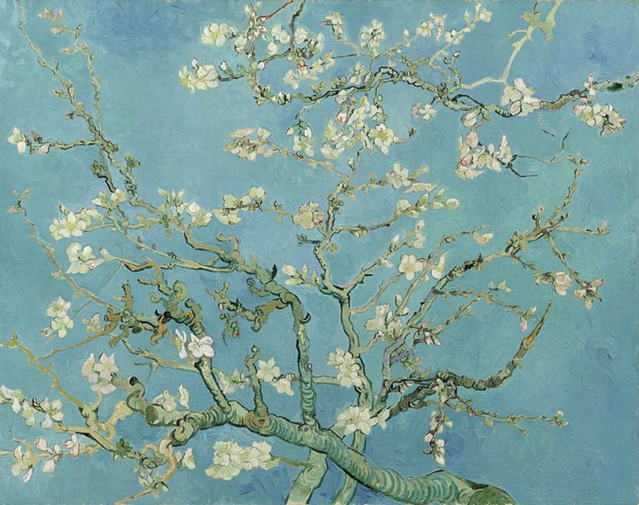 'Amendoeira em Flor', de Vincent van Gogh