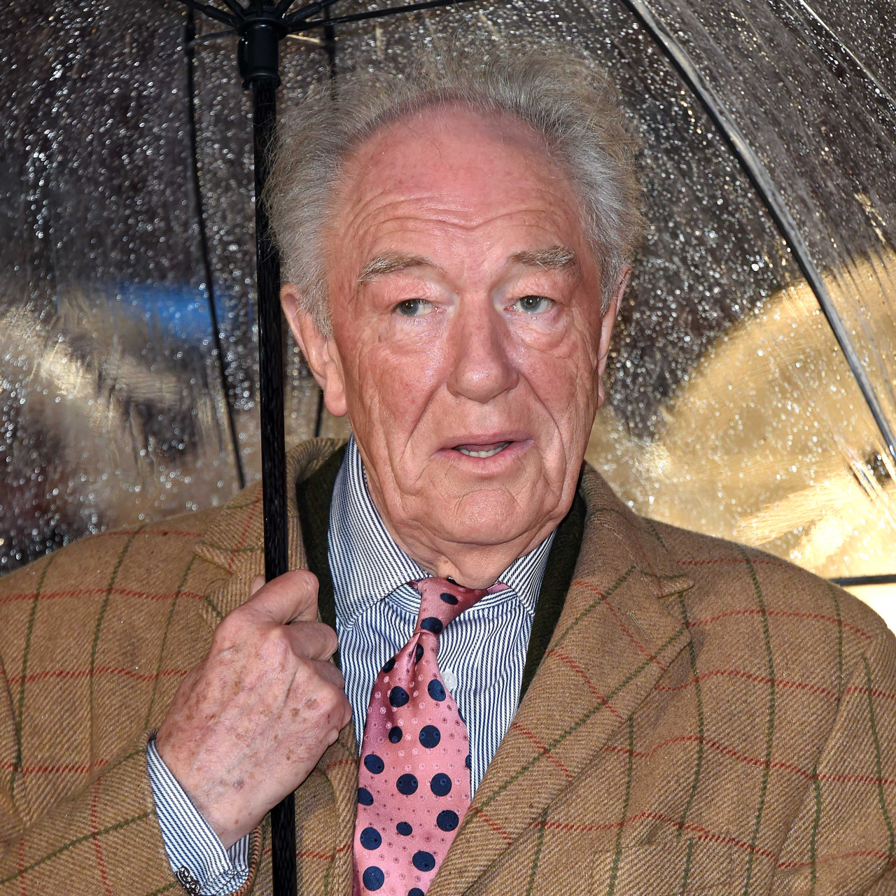 Michael Gambon