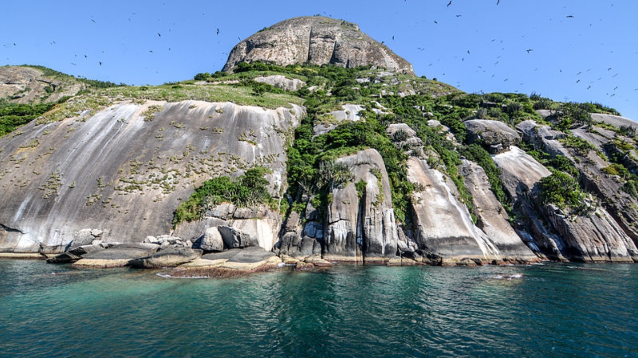 Paredão da Ilha de Alcatrazes, no litoral norte de SP