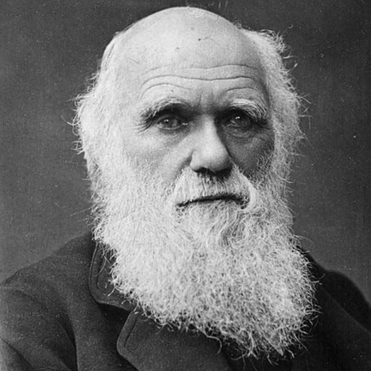 Charles Darwin