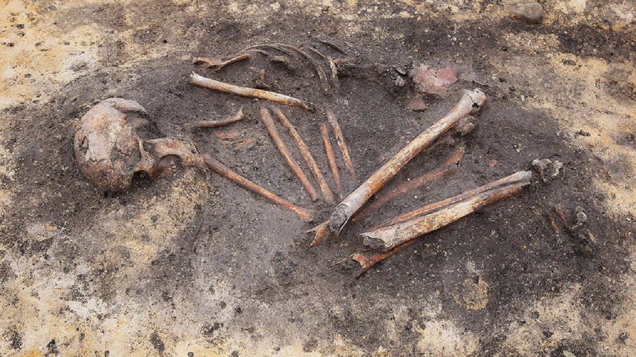 Estudo revela que famílias europeias antigas viviam sob grande complexidade social