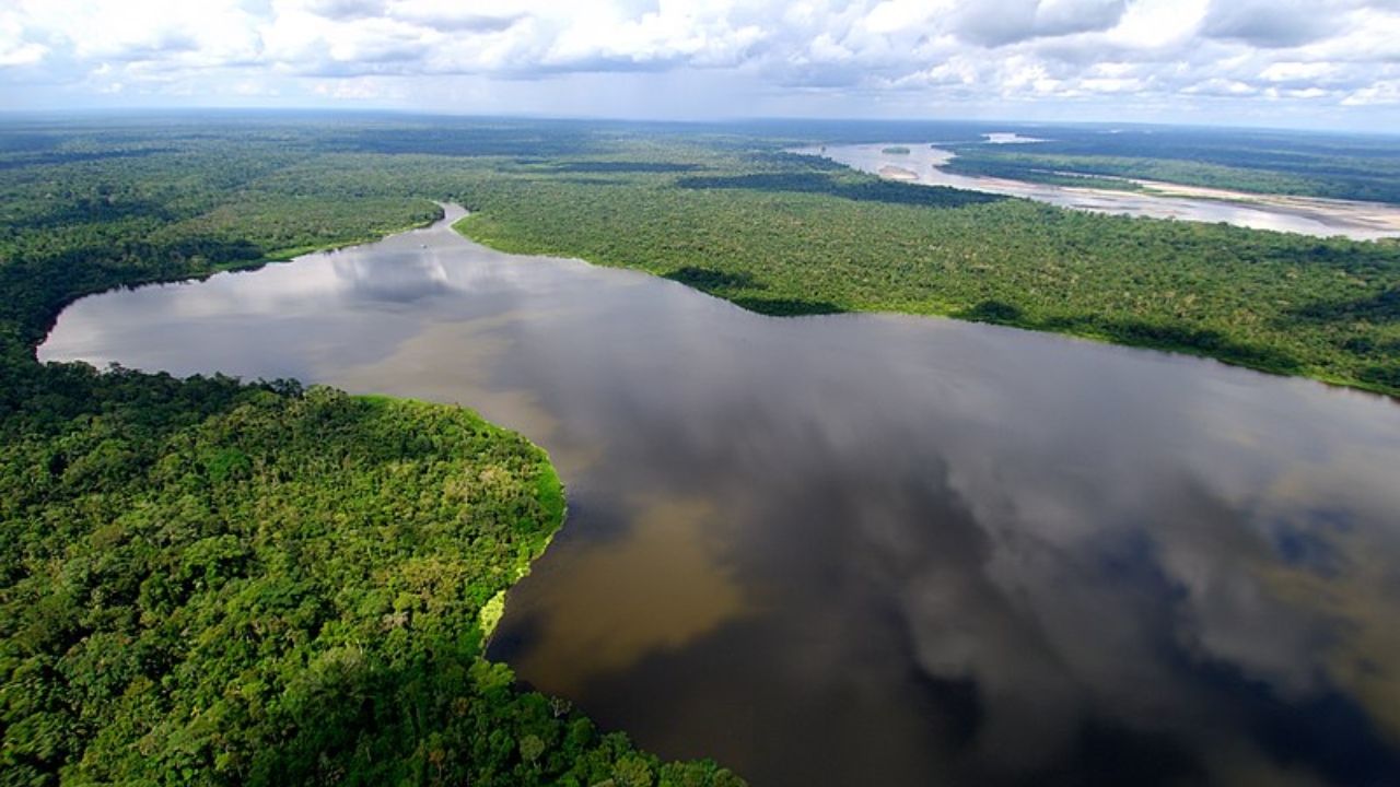 Amazônia: Cidades de mais de 2.500 anos são encontradas na floresta