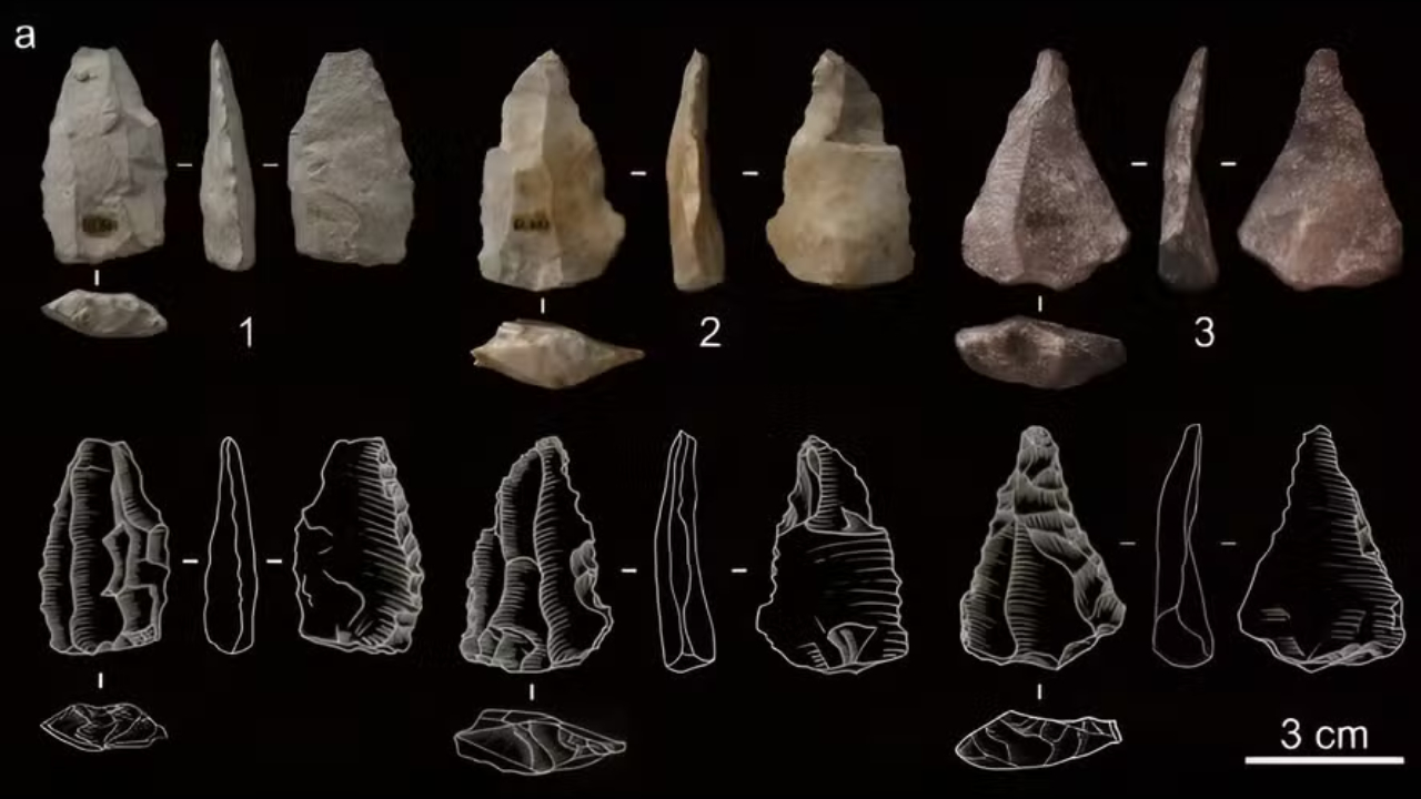 Artefatos de 45 mil anos são os primeiros vestígios do Homo Sapiens no Leste Asiático