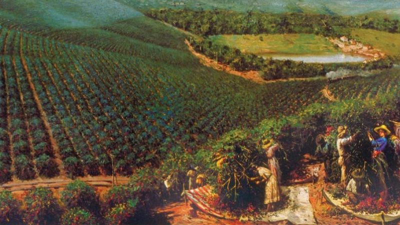 Você sabe a origem do café e como sua chegada ao Brasil?
