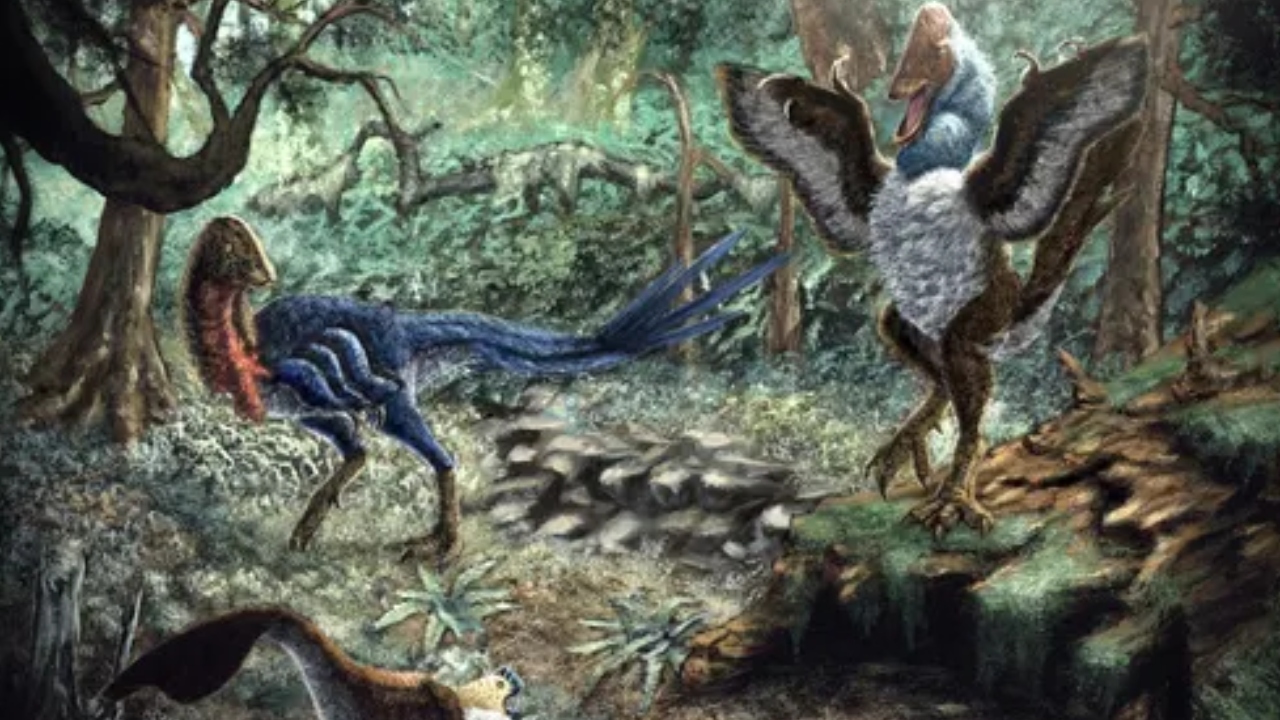 Pesquisador descobre novo dinossauro ao comprar fósseis online para aula
