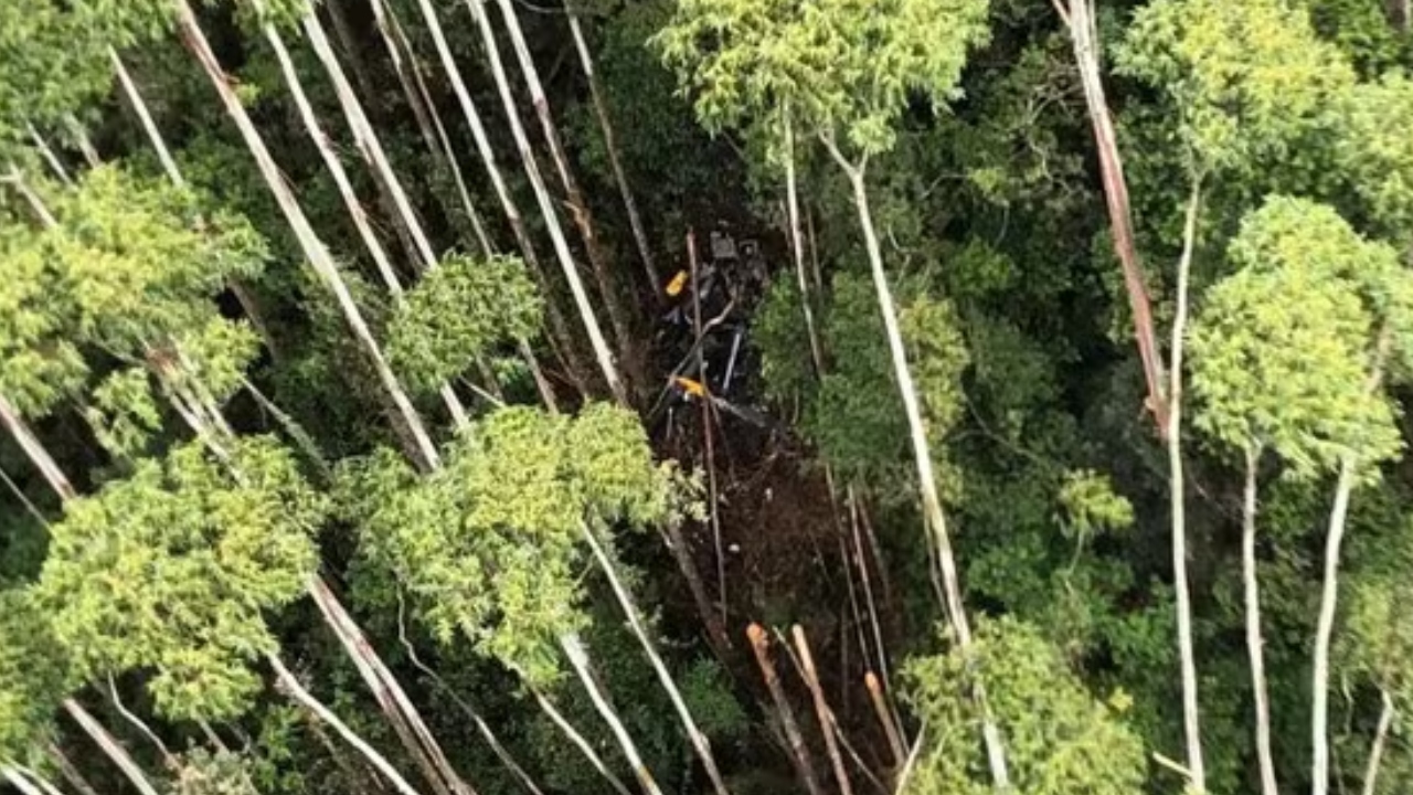 Delegado diz que helicóptero caiu minutos após pouso de emergência