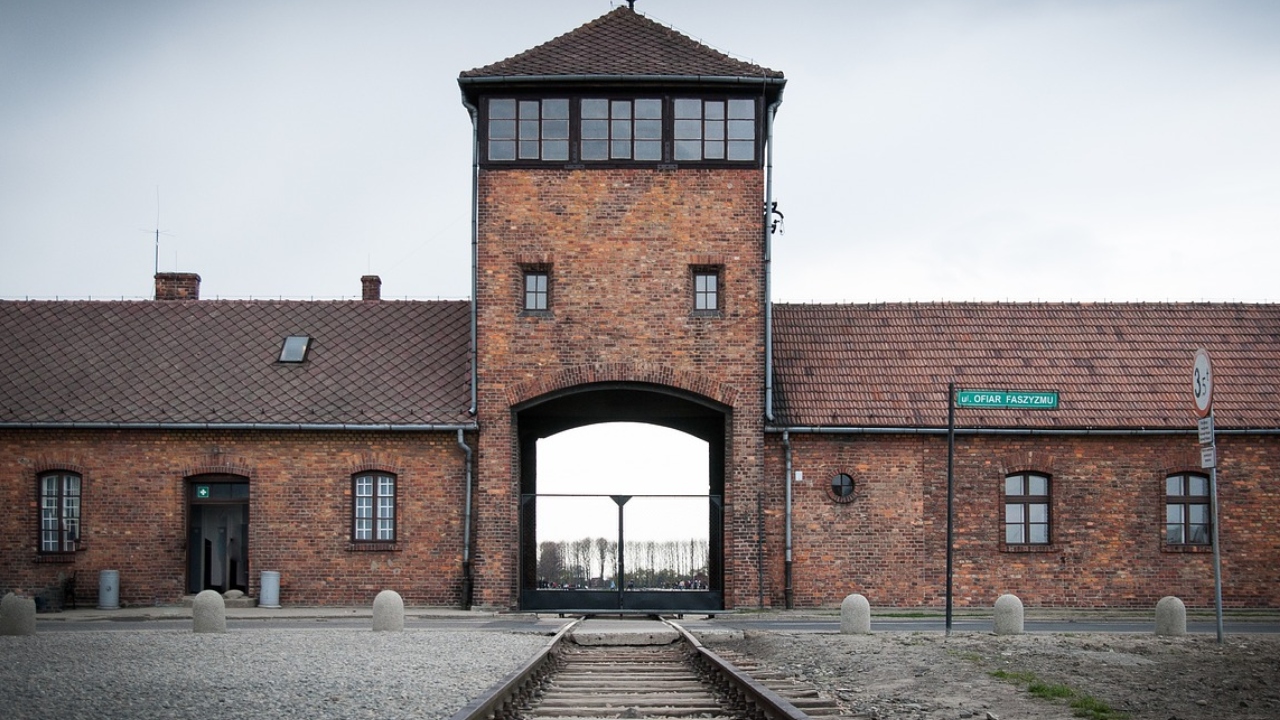 Novo estudo revela quantos sobreviventes do Holocausto ainda estão vivos; descubra!