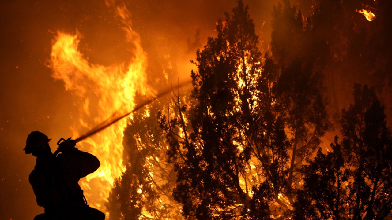 Canadense que acusou o governo de incêndios admite ter colocado fogo em dezenas de florestas