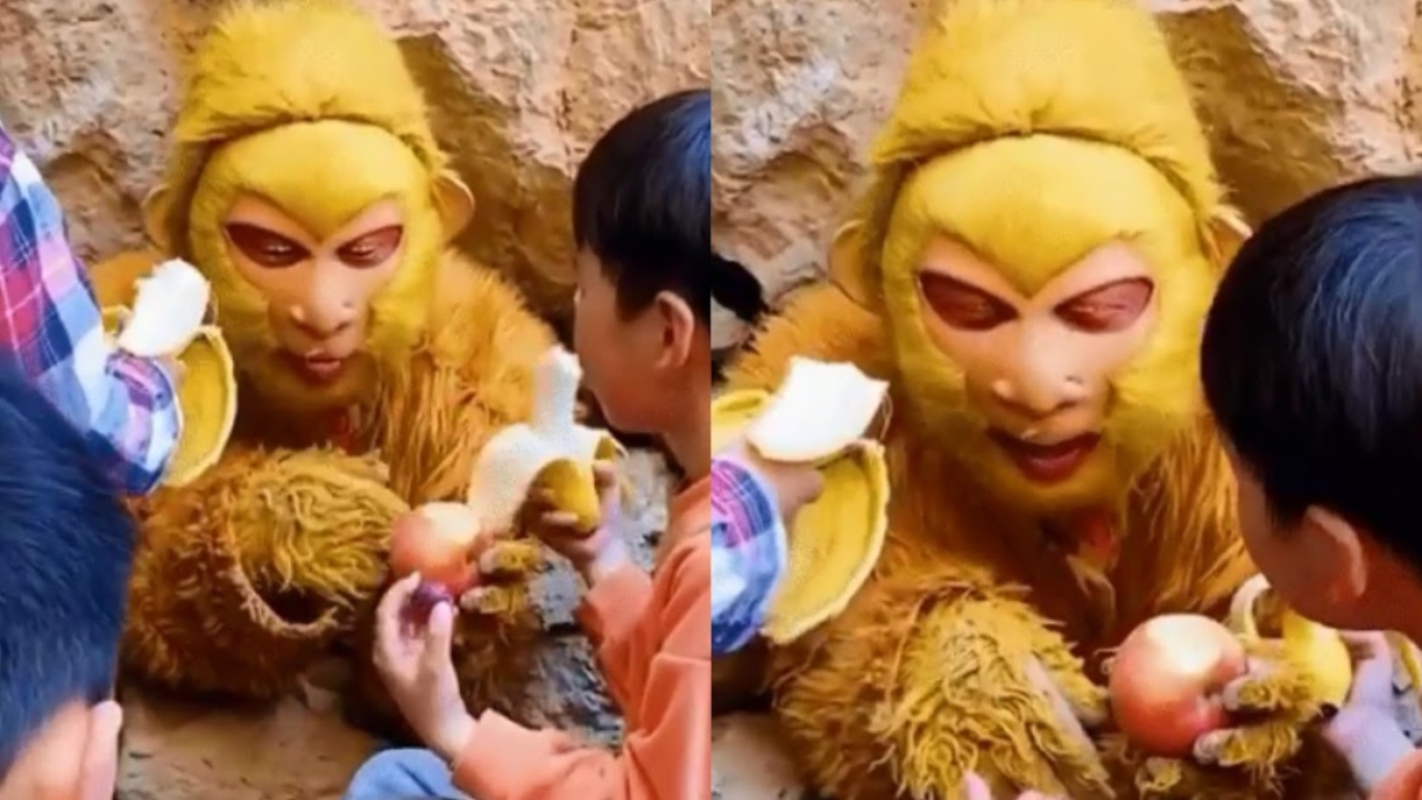 China procura alguém para se fantasiar de macaco e aceitar comida; entenda o motivo