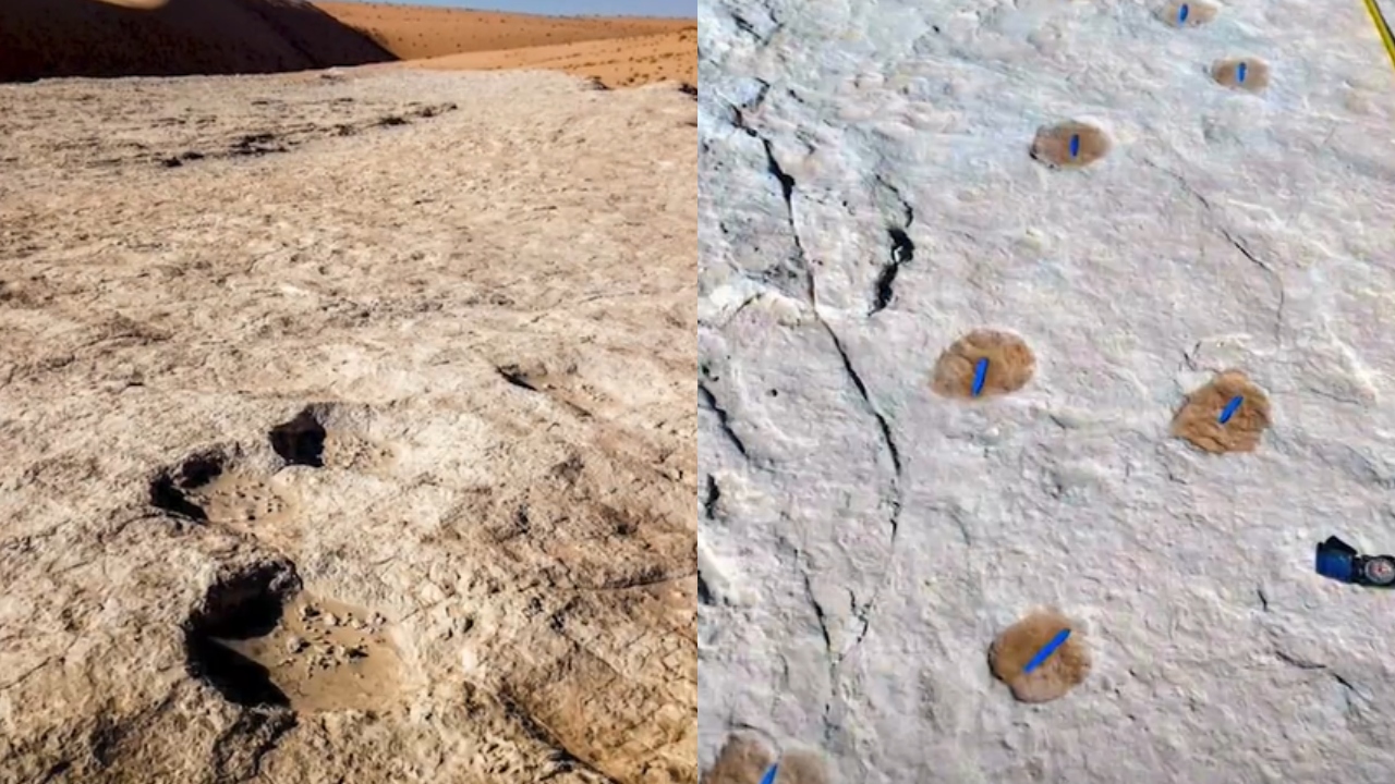 Pegadas impressionantes de 90 mil anos são encontradas em praia do Marrocos