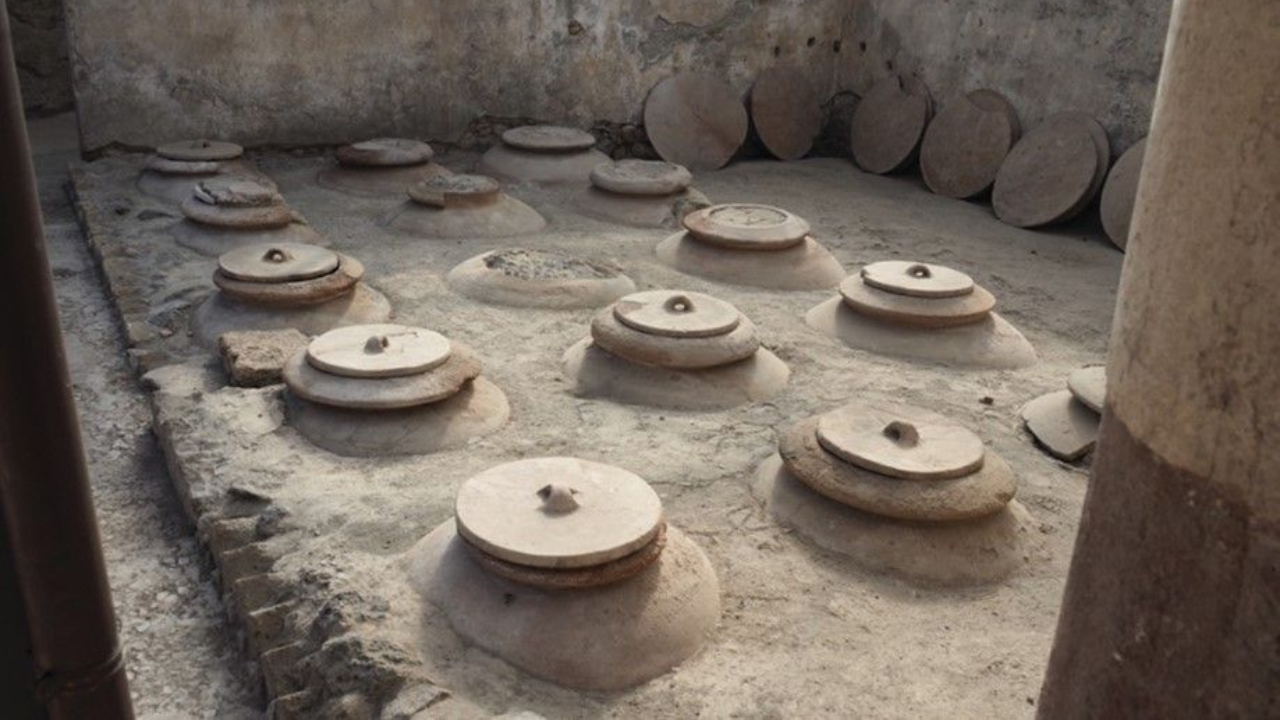 Novo estudo revela detalhes e sabores complexos de antigos vinhos romanos