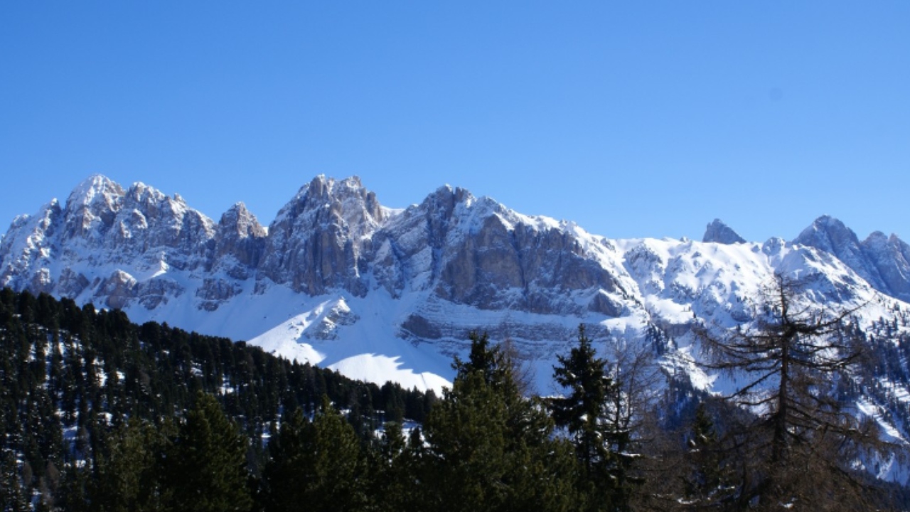 Estudo encontra farsa em famoso fóssil dos alpes italianos