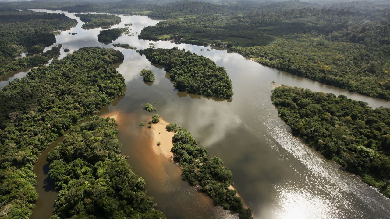 Novo estudo alerta para o ponto de não retorno da Amazônia