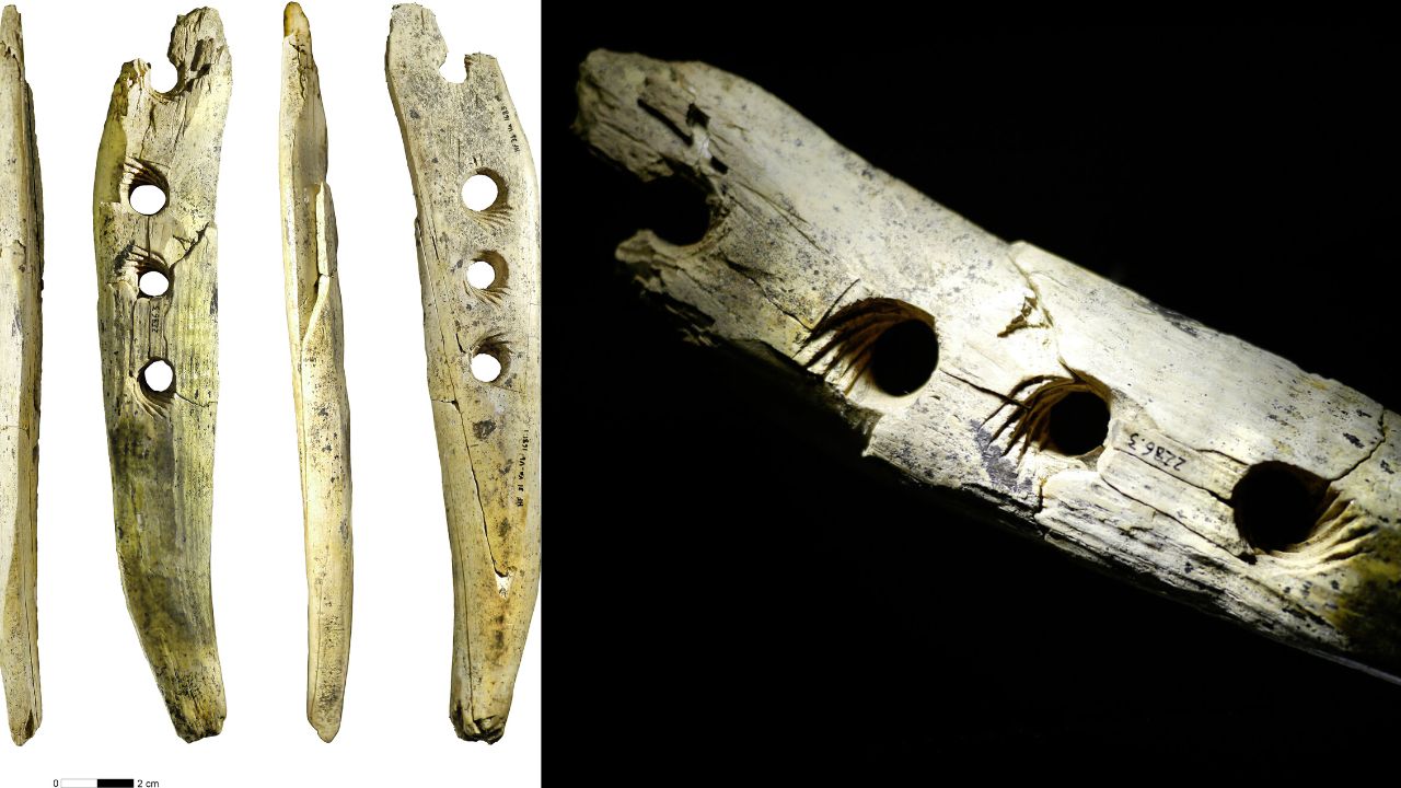Artefato de 37 mil anos atrás pode não ser só uma obra de arte, sugere estudo