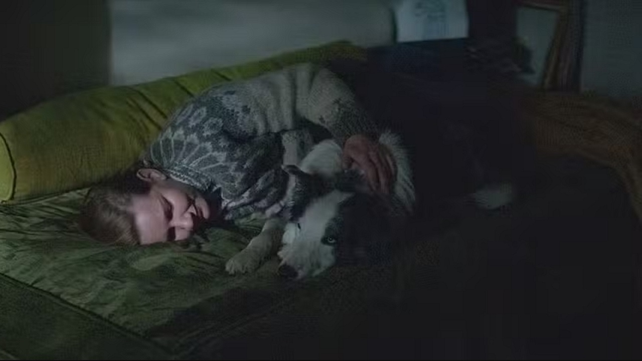 Anatomia de uma Queda: Cão do filme passou dois meses encenando cena comovente