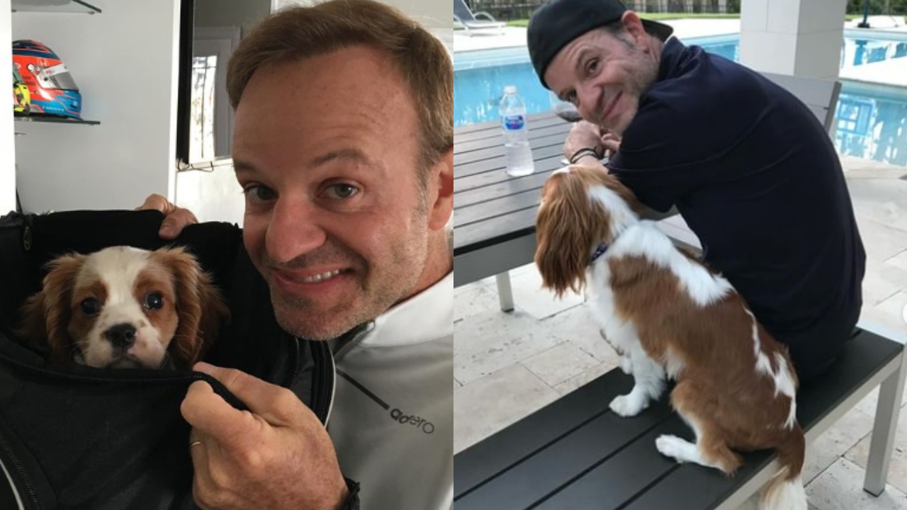 Barrichello: Piloto grava vídeo para conscientizar sobre causa de morte de cachorro