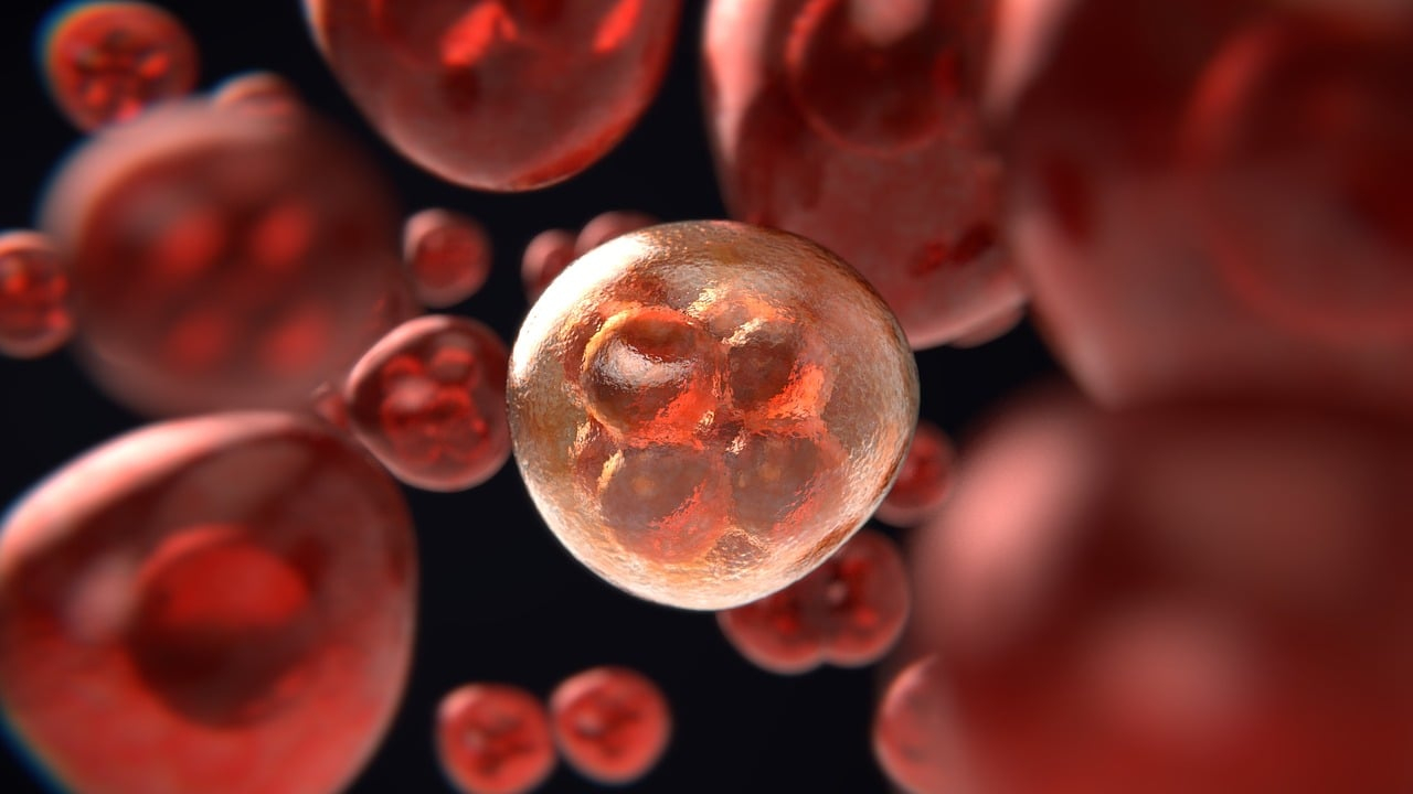 OMS prevê aumento de mais de 75% em casos globais de câncer até 2050