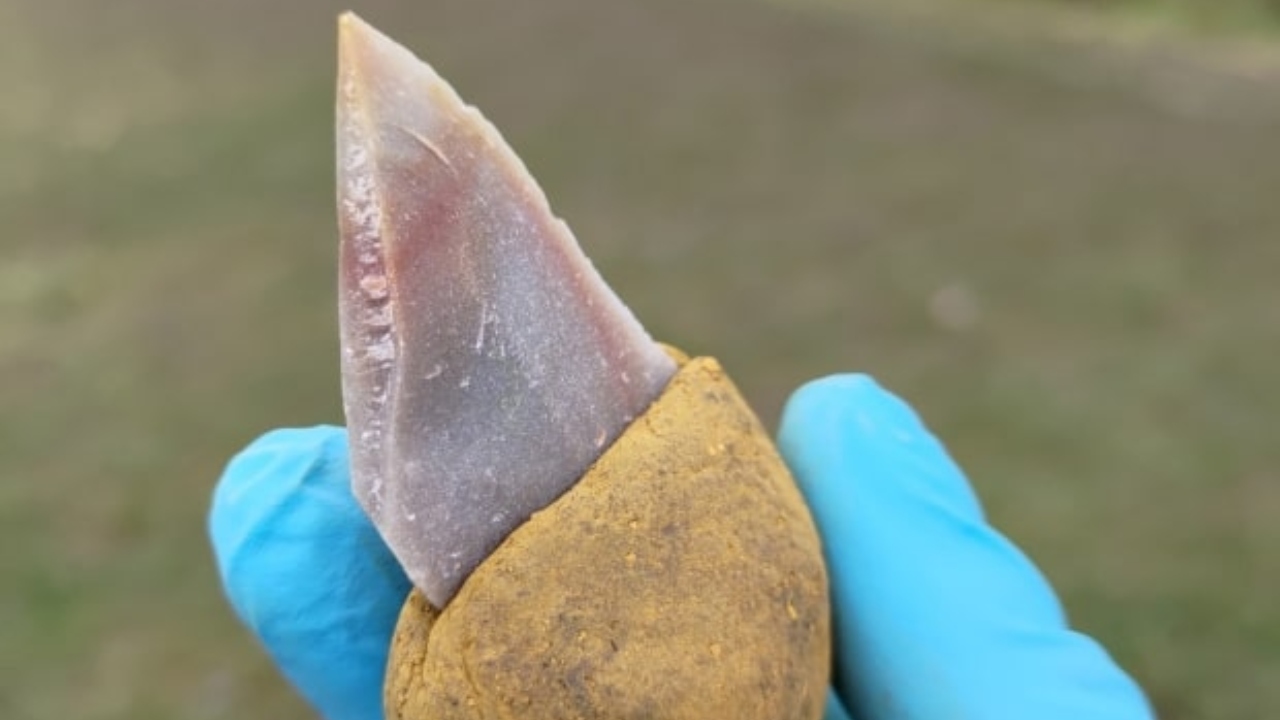 Pesquisadores descobrem cola usada por Neandertais na produção de ferramentas