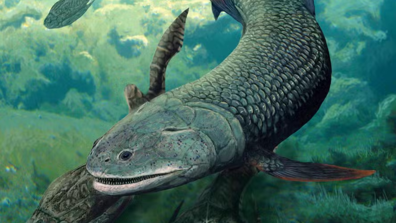 Peixe ancestral com presas é descoberto em antigo lago na Austrália