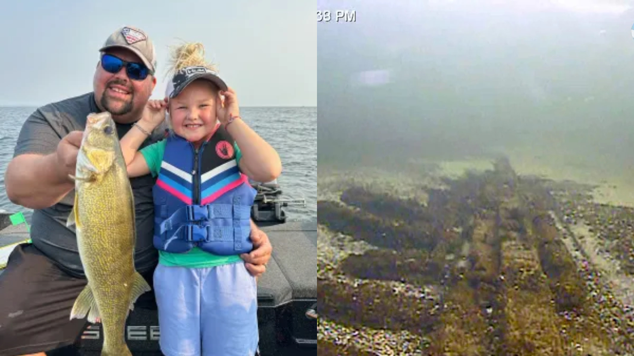 Veja como pai e filha encontraram um navio que naufragou há 150 anos