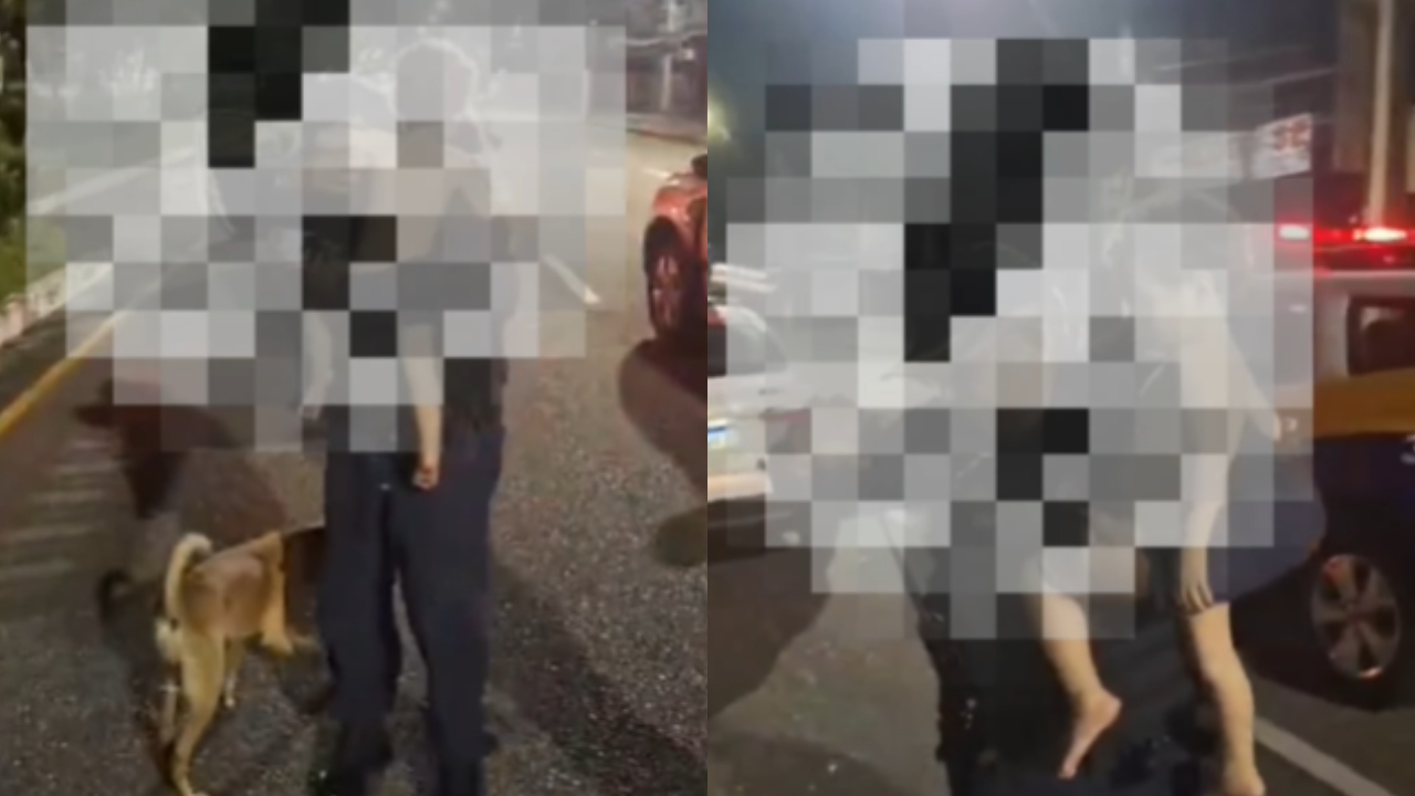 Criança que saiu de casa com cachorro é resgatada por policiais