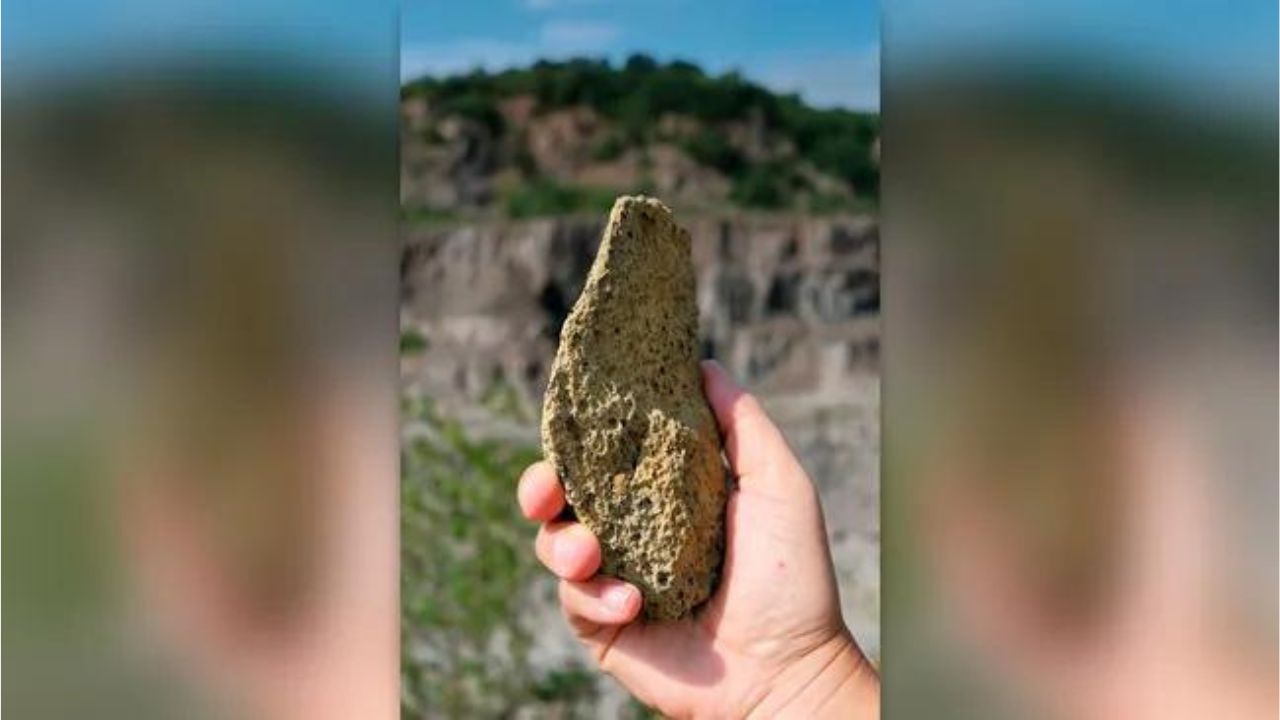 Estudo aponta: primeiras ferramentas de pedra possuem mais de 1 milhão de anos