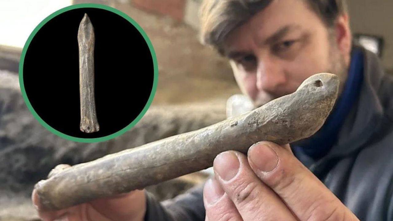 Patins de gelo de 1000 anos feitos de ossos são encontrados na República Tcheca