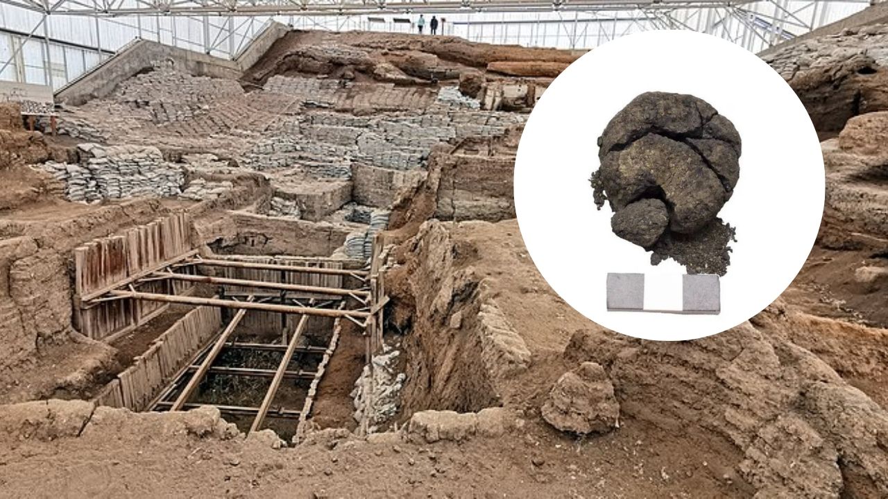 A história do pão de 8.600 anos encontrado na Turquia