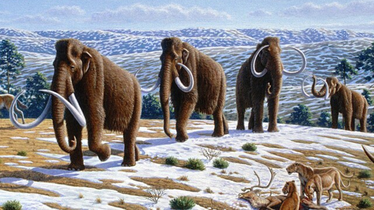 Através de DNA bem preservado, cientistas dão passo para ‘ressuscitar’ mamute-lanoso