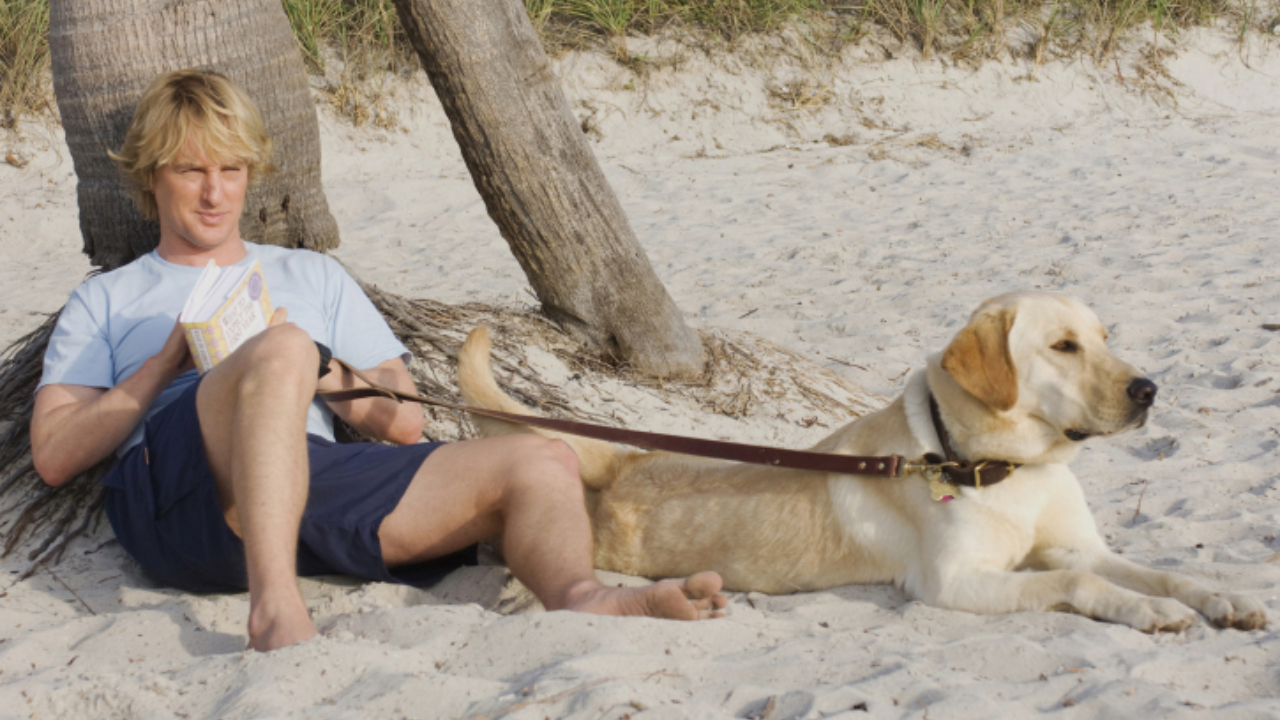 Marley & Eu: Quantos cachorros interpretaram o ‘pior cão do mundo’?