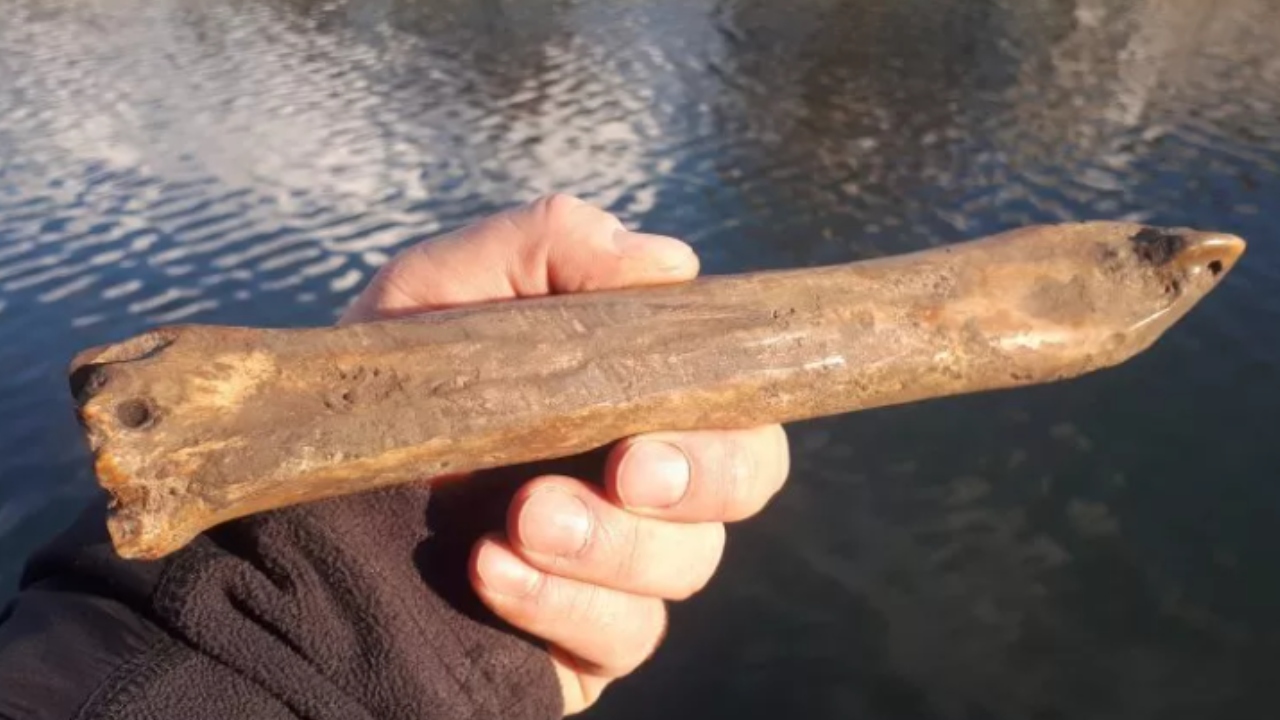Patim de gelo de 1.000 anos feito de osso de animal é encontrado na Europa