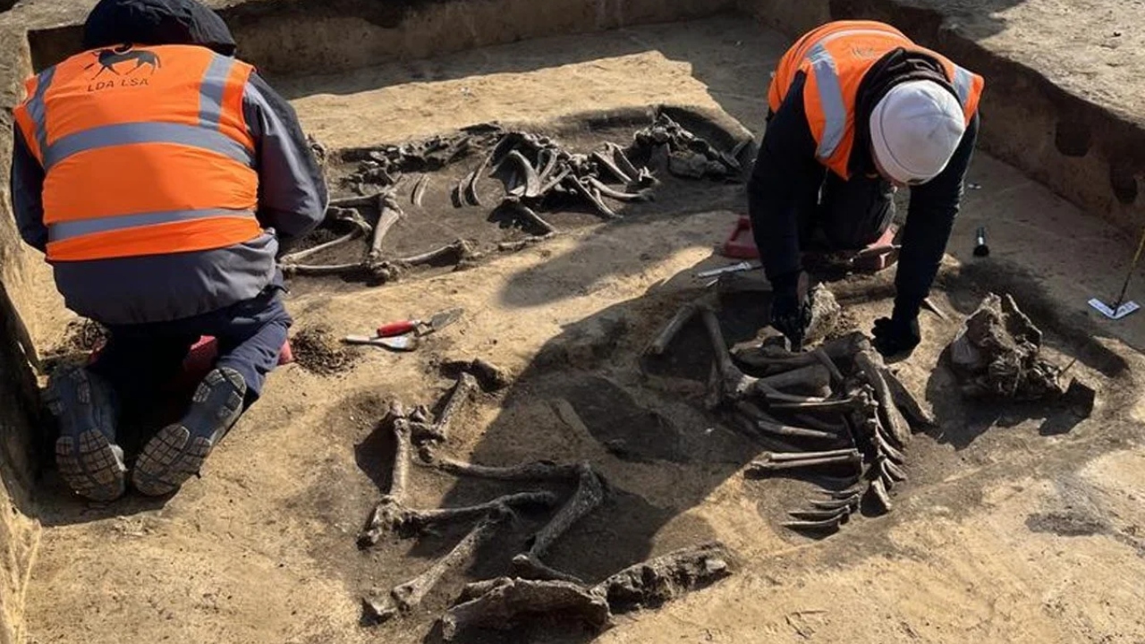 Túmulos de 6 mil anos com tumbas de madeira são descobertos na Alemanha